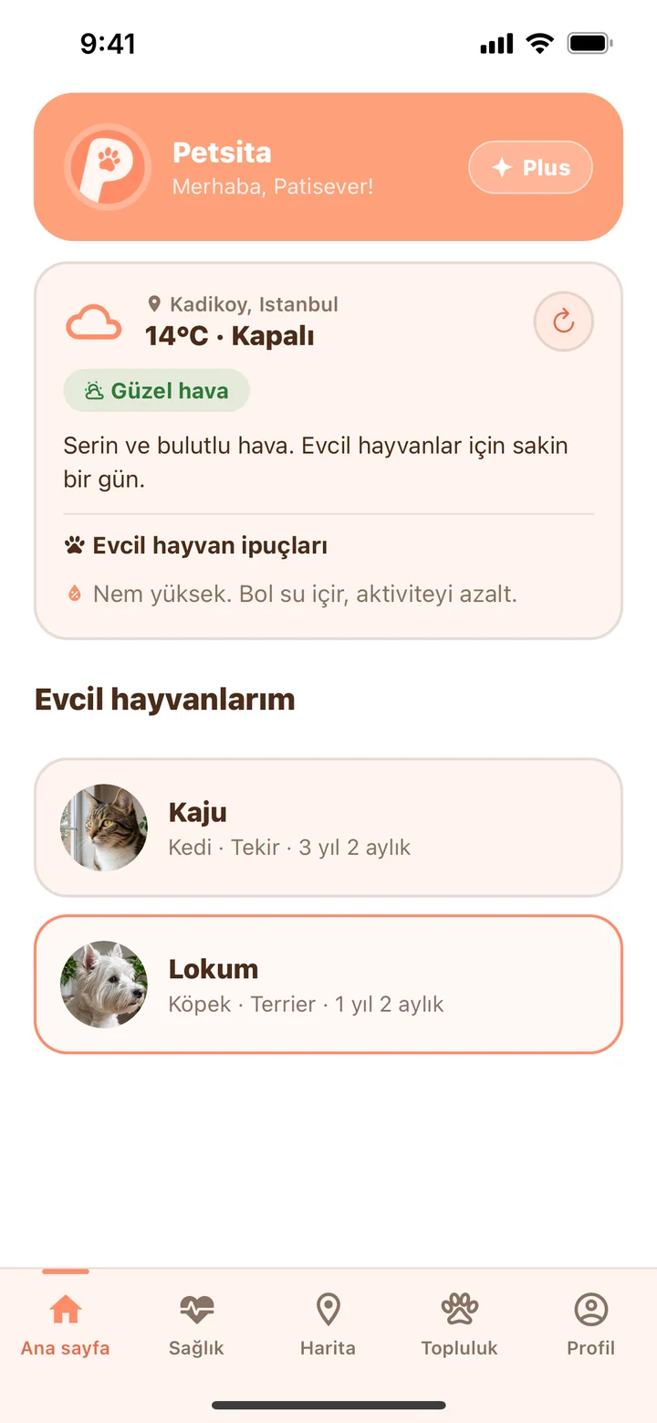 Petsita ana ekranı: hava durumu, evcil hayvan ipuçları ve evcil hayvan listesi