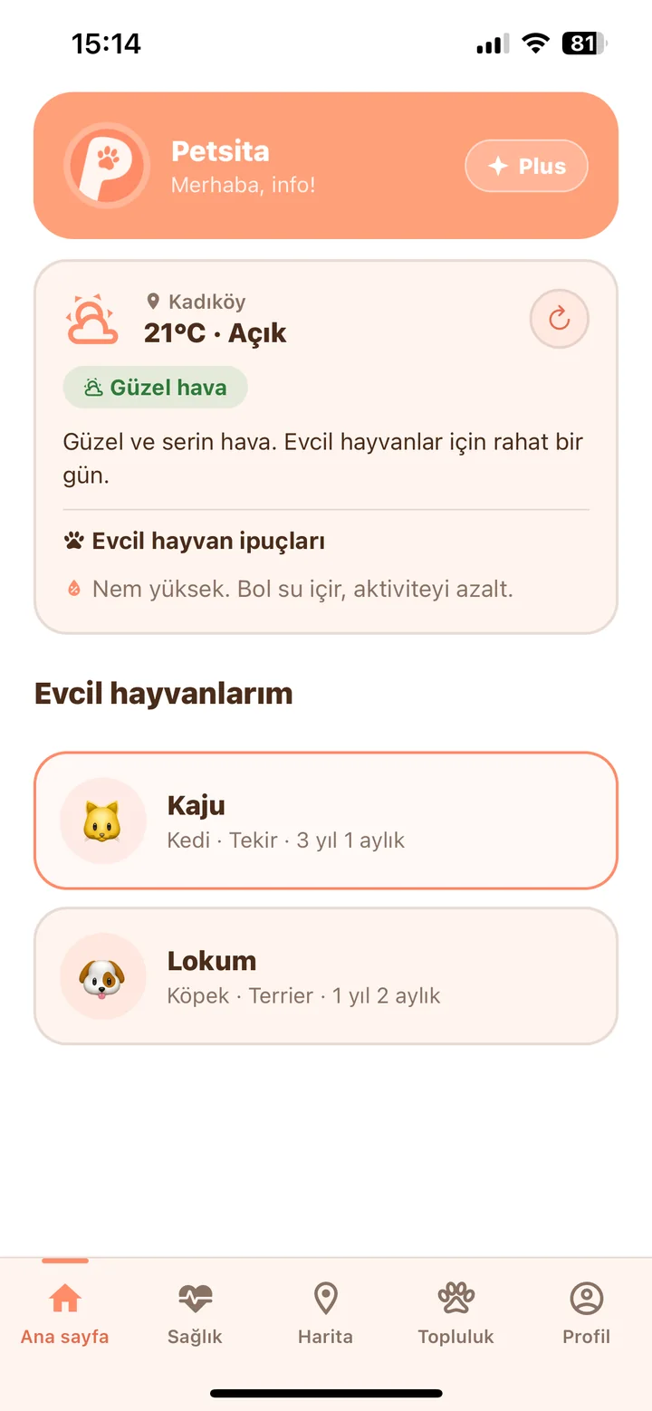 Petsita ana ekranı: hava durumu, evcil hayvan ipuçları ve evcil hayvan listesi